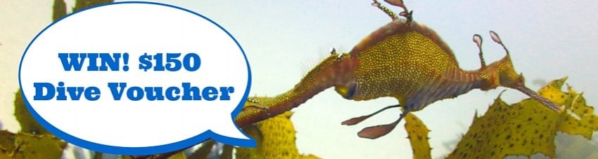 Survey competition - win $150
