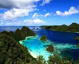 Destination Indonesia Papua Barat Raja Ampat Diving Indonesia