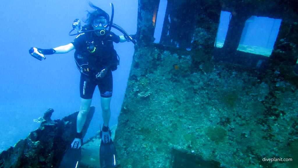 Diving Vanuatu A Diver's Introduction