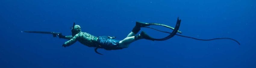 Spearfishing for or against?