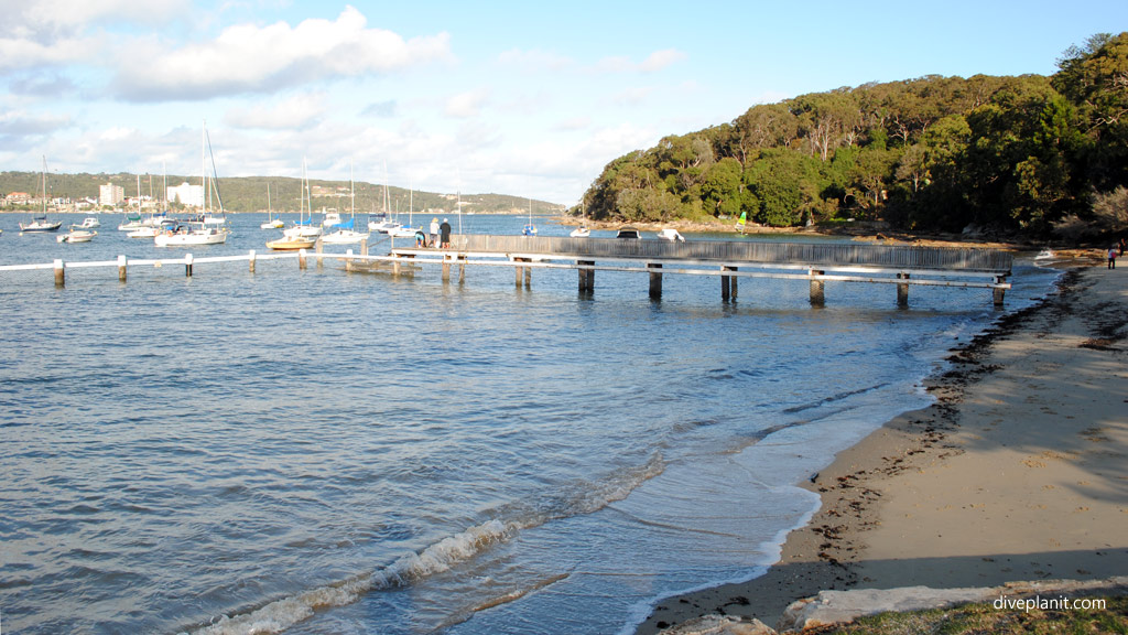 A summary of Sydney dive sites probably Sydney's best dive sites
