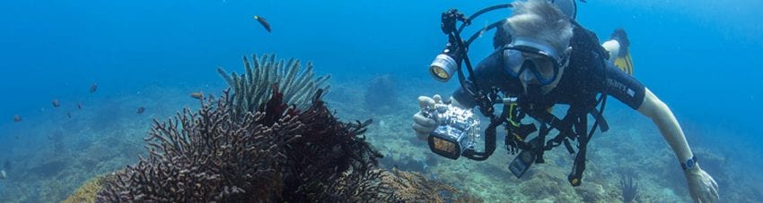 underwater photographers explain their equipment set up and how it suits their particular style and needs of SCUBA photography