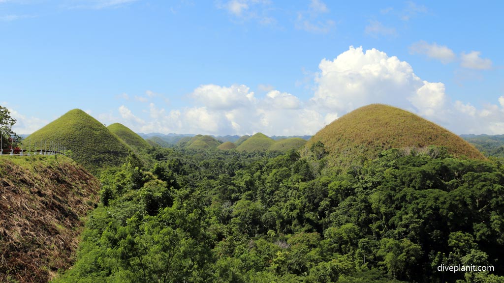 Chocolate Hills take your pick at the Chocolate Hills diving Bohol in the Philippines by Diveplanit