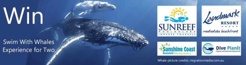 Ocean Film Festival 2016 Diveplanit Competition: all you need to know about the prize and how to enter via the Diveplanit App