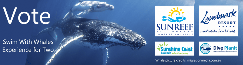 Vote for a winner in the Ocean Film Festival Swim with Whales competition