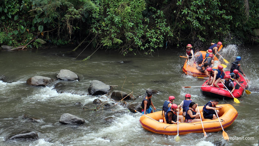 White Water Rafting Ayung River Ubud in Bali diving Indonesia by Diveplanit