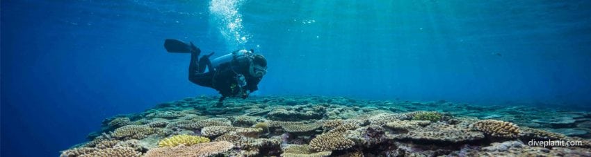 Scuba Diving Okinawa