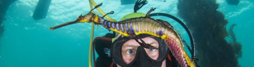Diveplanit's Influential underwater photographers Heather Sutton