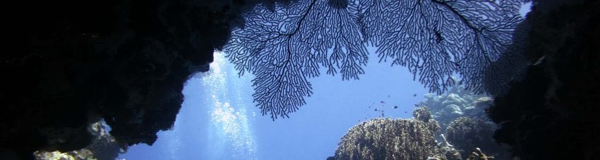 8472-Mirror-Pond-Russell-Islands-MV-Taka-Solomon-Islands-Diveplanit-8472 banner