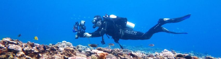 Pete McGee – Winner of the Endemic and Black & White Categories in the First Lord Howe Island Underwater Photo Shootout