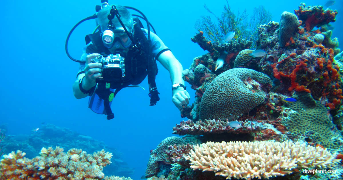 Mantaray Dive Shop, Yasawas, Fiji Islands certified diving & learn to