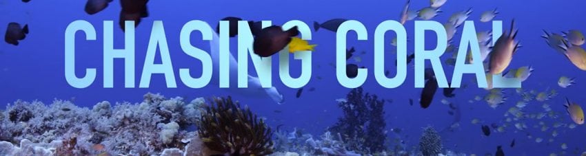 Chasing Coral is an emotional race against time to connect the visuals of extreme coral bleaching to the action required to prevent extreme climate change