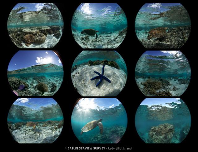 Catlin Seaview Survey. Snapshot of Lady Elliot Island.