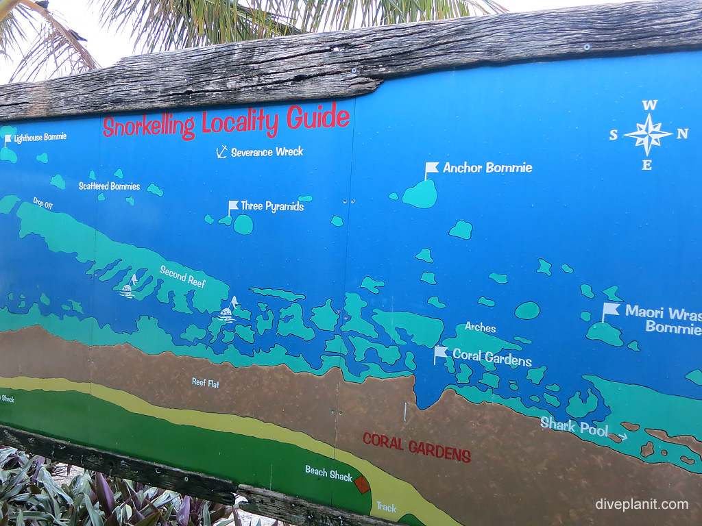 Snorkelling Locality Guide at Lady Elliot Island