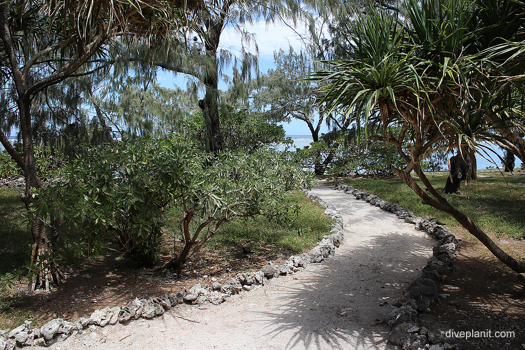 Walking track around Lady Elliot Island