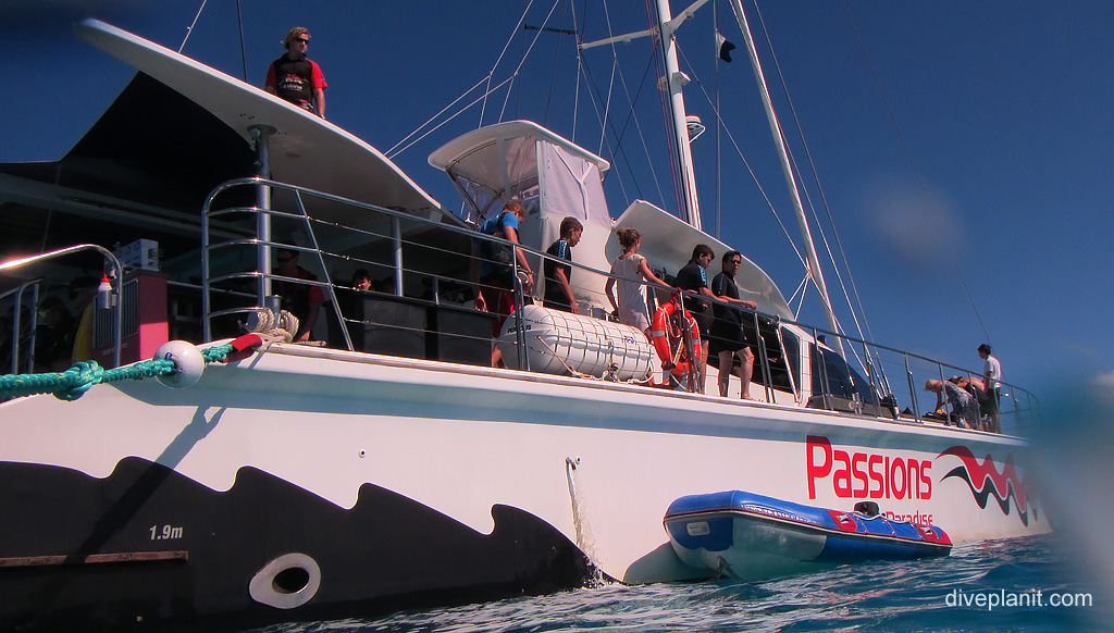 Passions of Paradise Sailing Catamaran at Paradise Reef. Diving holiday, travel planning tips for Great Barrier Reef - where, when, who and how