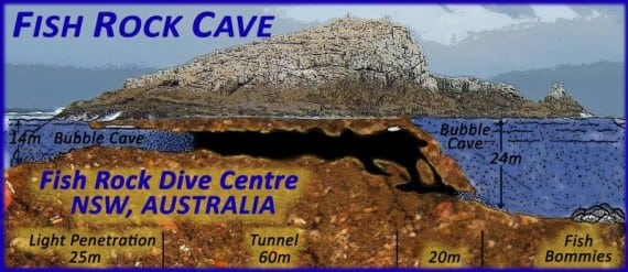 Scuba dive Fish Rock Cave, South West Rocks, NSW Australia travel planning diving videos diveplanit