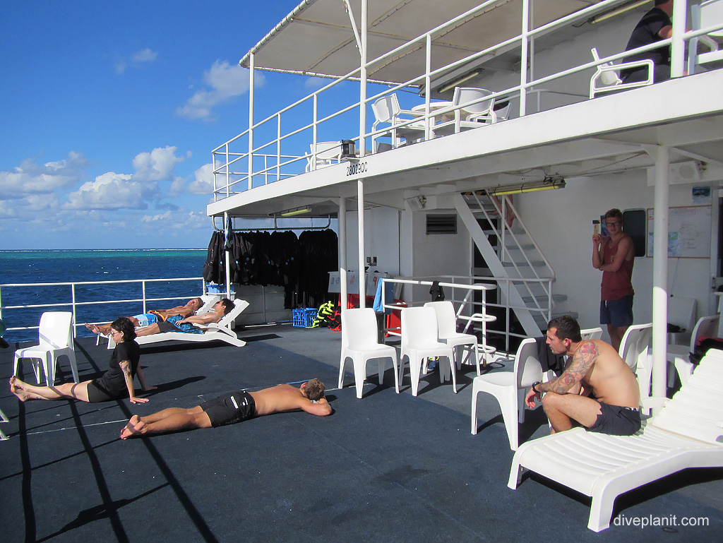 Deep Sea Divers Den OceanQuest Liveaboard Cairns diving Norman Reef on the Great Barrier Reef Australia. Great experience 7 dives in 2 days.