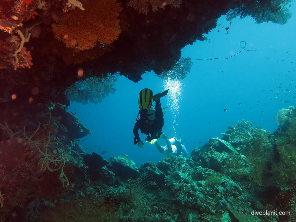 Diver swims under and over hang at The Elbow diving Uepi in the Solomon Islands by Diveplanit