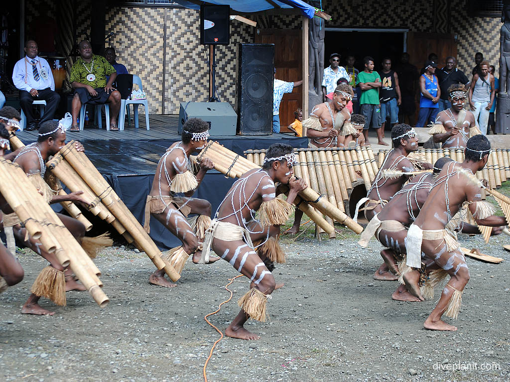 Islander dancing band at Honiara diving Honiara Solomon Islands by Diveplanit