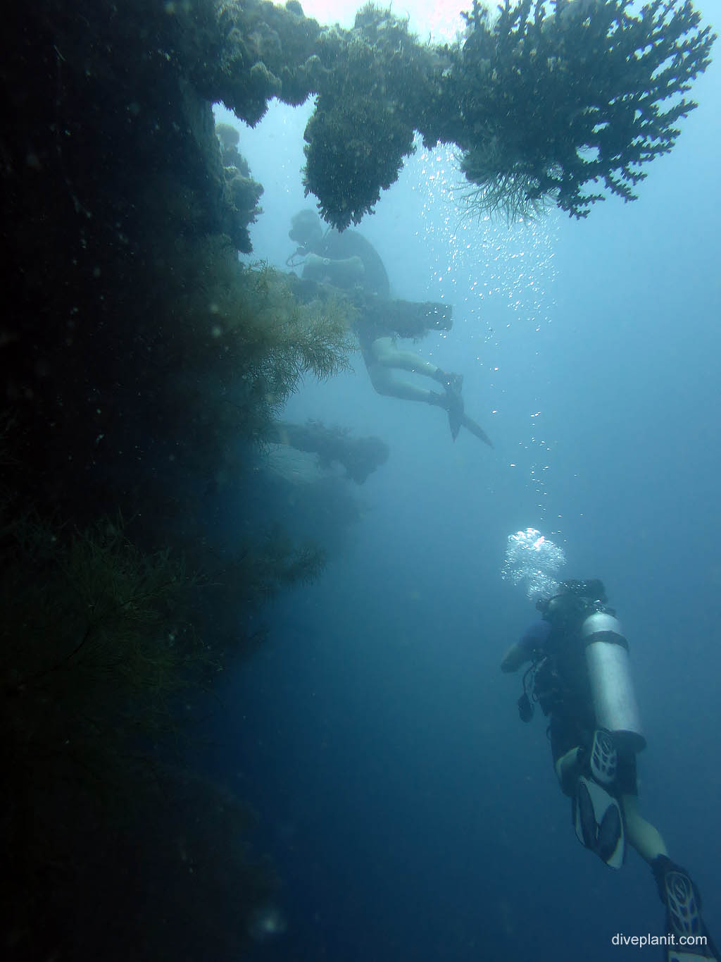 Divers on the wreck at Bonegi 1 diving Guadalcanal. Scuba holiday travel planning for Solomon Islands - where, who and how