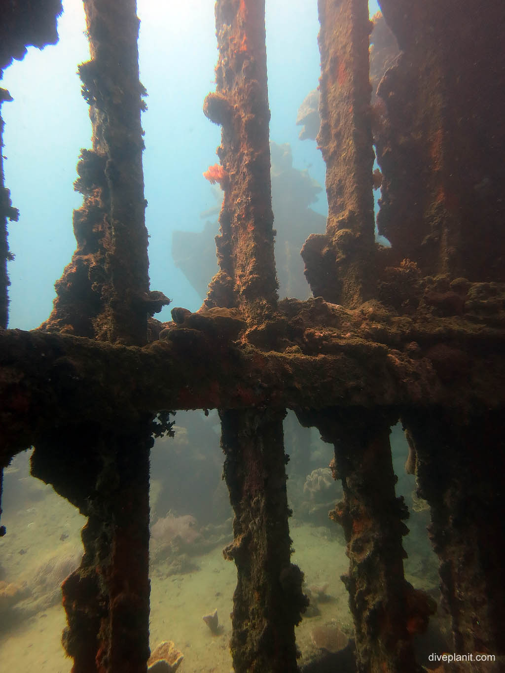 Silhouette of grill at Bonegi 2 diving Honiara in the Solomon Islands by Diveplanit