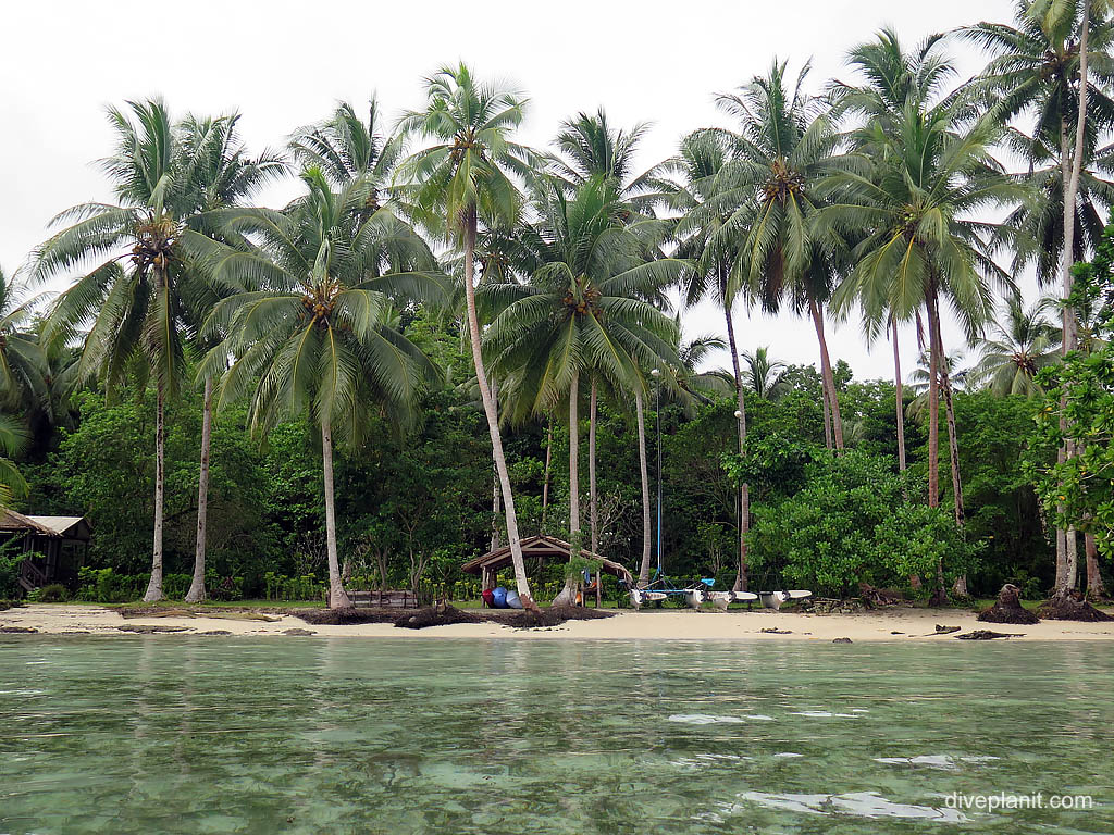 Hobbycats and kayaks on the beach diving Uepi at the lagoon in the Solomon Islands by Diveplanit