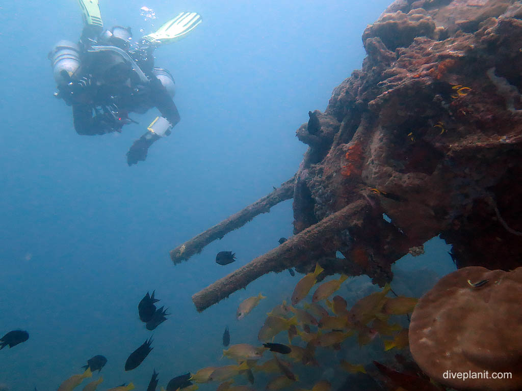 Diver admires the guns at B17 Bomber diving Honiara in the Solomon Islands by Diveplanit