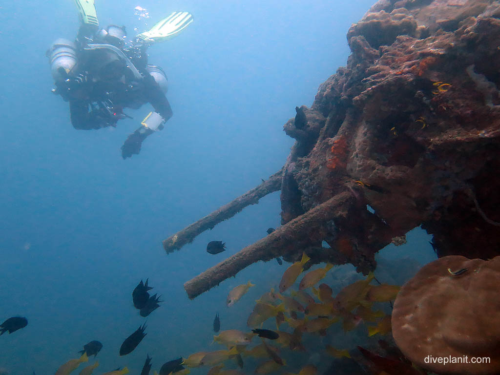 Diver admires the guns at B17 Bomber diving Honiara in the Solomon Islands by Diveplanit