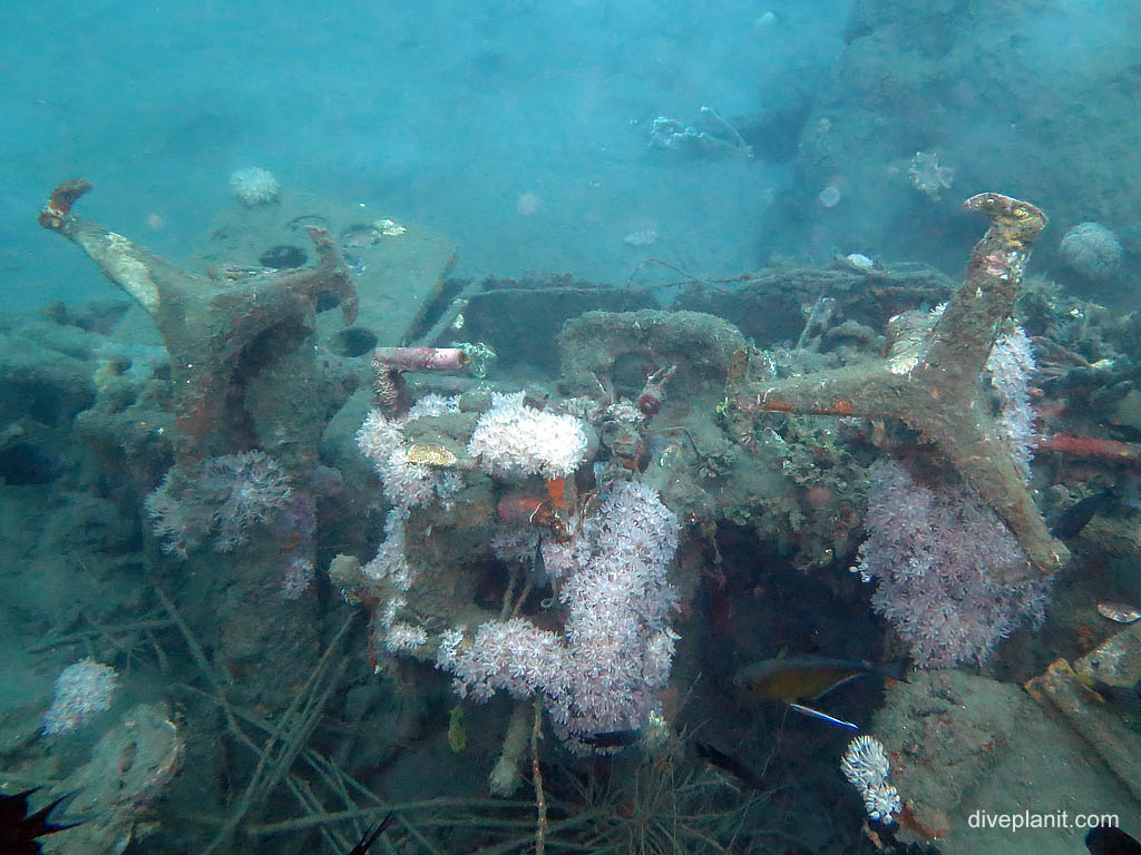 Flight deck with control console at B17 Bomber diving Honiara in the Solomon Islands by Diveplanit