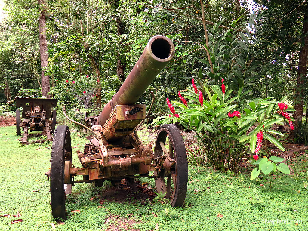 Vilu War Museum - Artillery Guns diving Honiara at Vilu War Museum in the Solomon Islands by Diveplanit