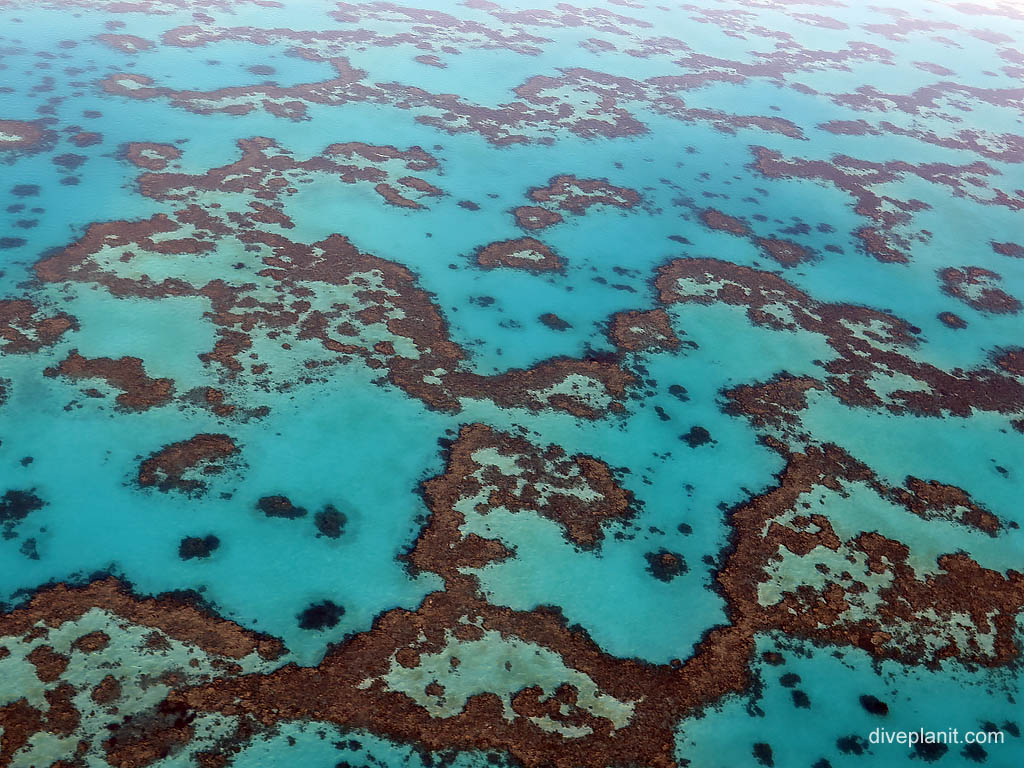 As seen from the plane at Wistari Reef diving Heron Island. Scuba holiday travel planning for Heron Island - where, who and how