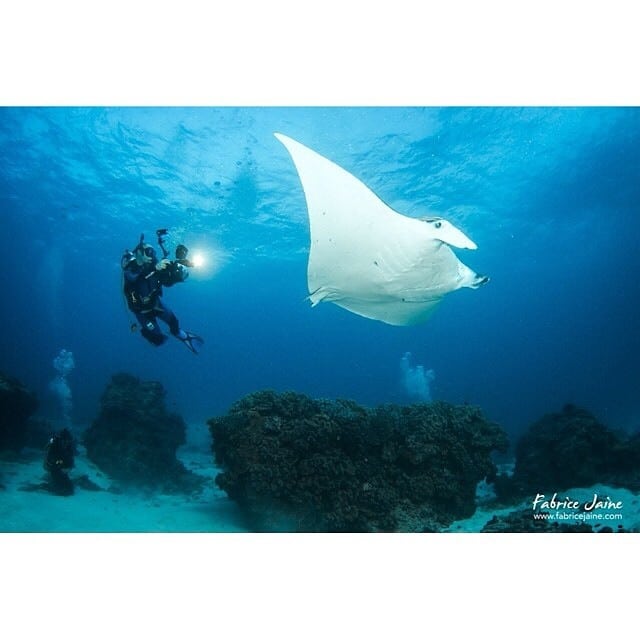 @FJaine TEQ Southern Great Barrier Reef Instagram competition finalist