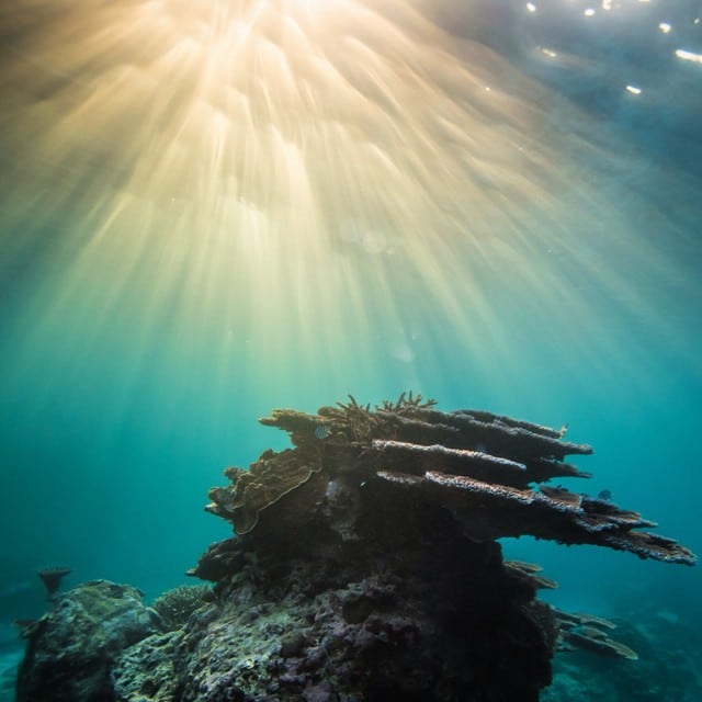 @brodie_mccabe TEQ Southern Great Barrier Reef Instagram competition finalist