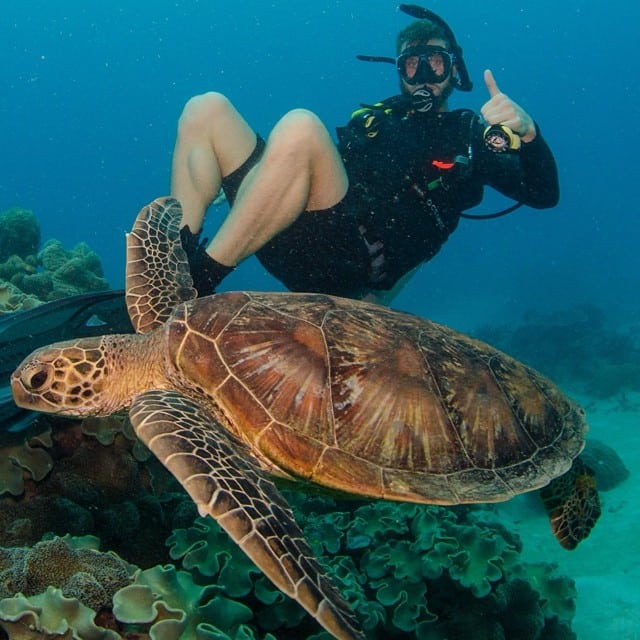@mrflecks TEQ Southern Great Barrier Reef Instagram competition finalist