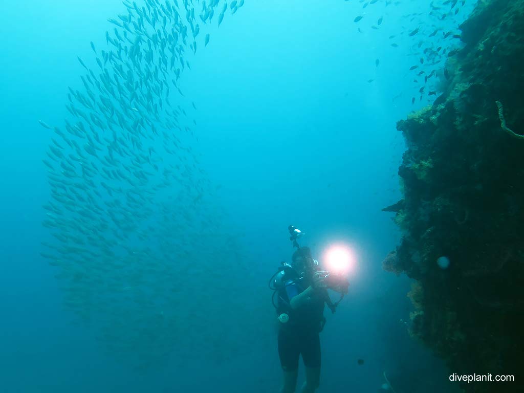 Diver with light and fish in arc at Bida Nok diving with Zeavola Resort Diving. Scuba holiday travel planning for Ko Phi Phi Thailand - where, who and how