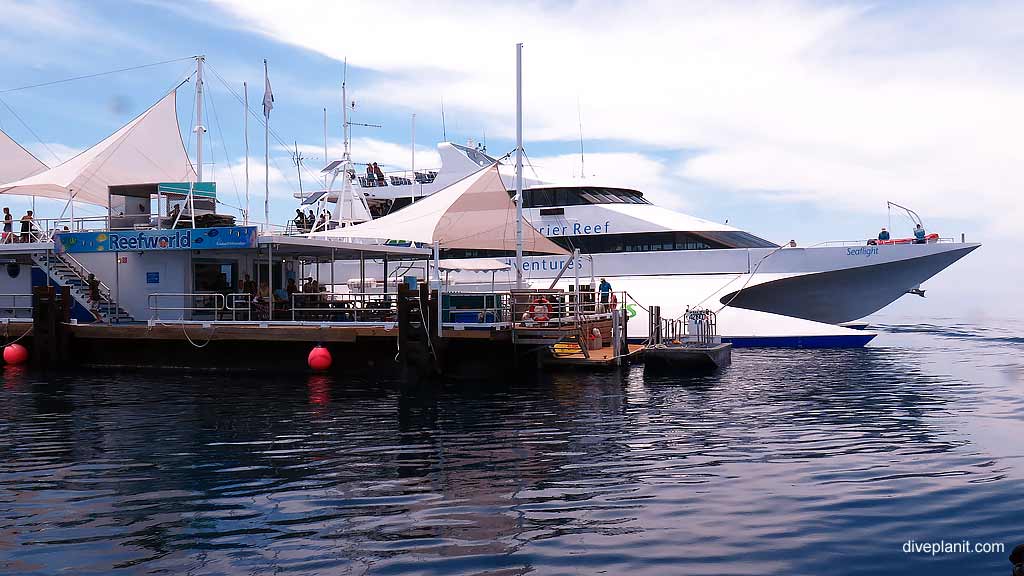 Reefworld pontoon and Seaflight day boat at Reefworld Pontoon Whitsundays