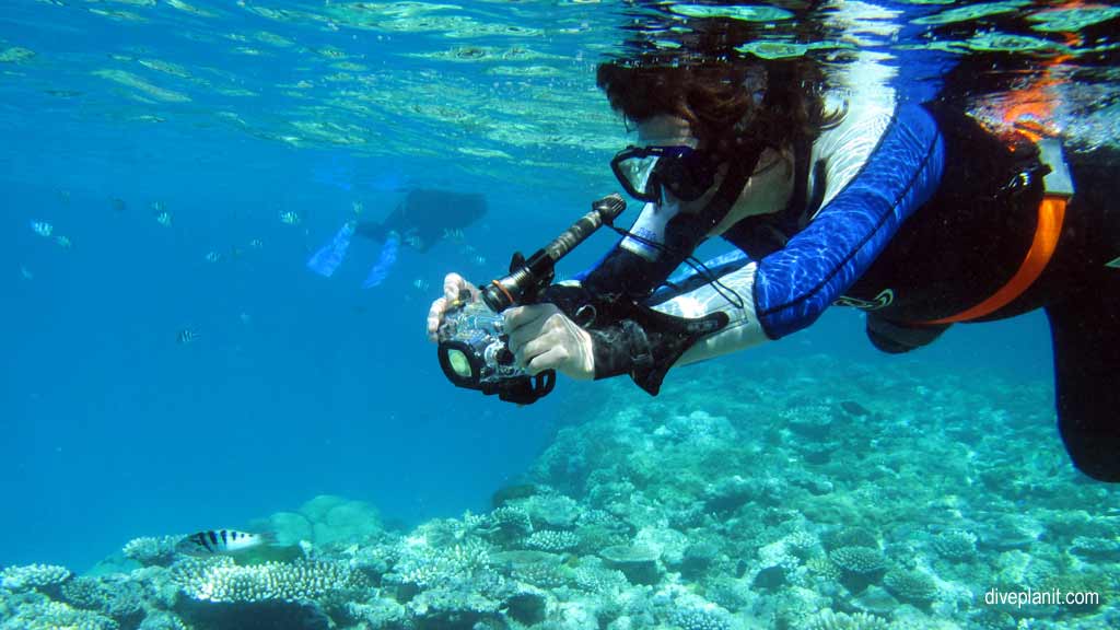 Great Barrier Reef diving with Silversonic. Dive holiday travel planning for Agincourt Reef - where, who and how