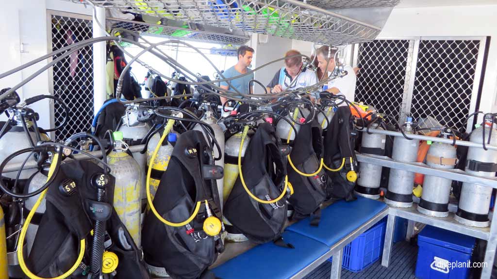 Great Barrier Reef diving with Silversonic. Dive holiday travel planning for Silversonic - where, who and how