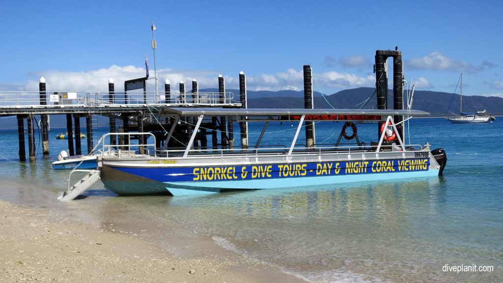 Great Barrier Reef diving Fitzroy Island. Dive holiday travel planning for Fitzroy Island - where, who and how