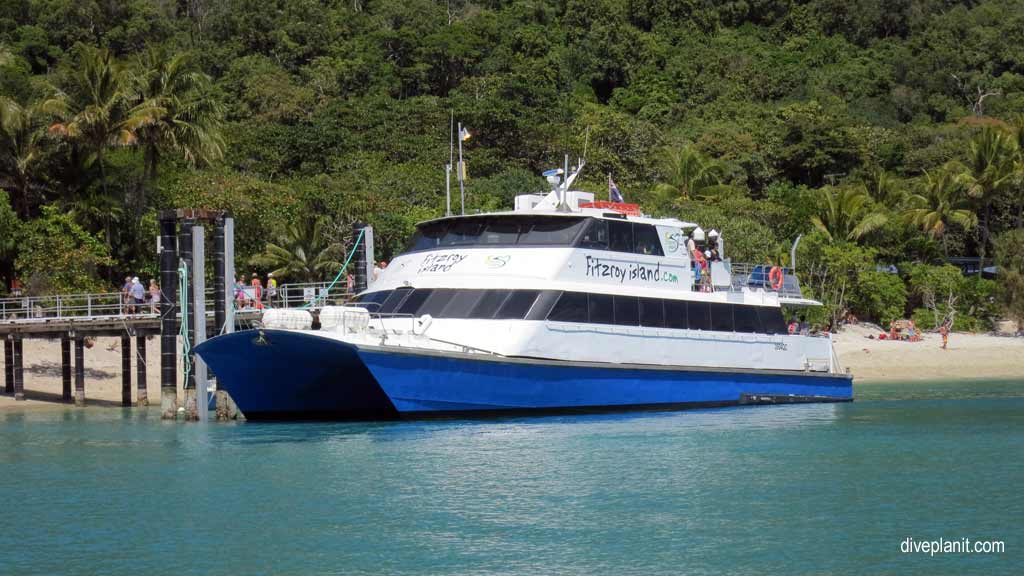 Great Barrier Reef diving Fitzroy Island. Dive holiday travel planning for Fitzroy Island - where, who and how