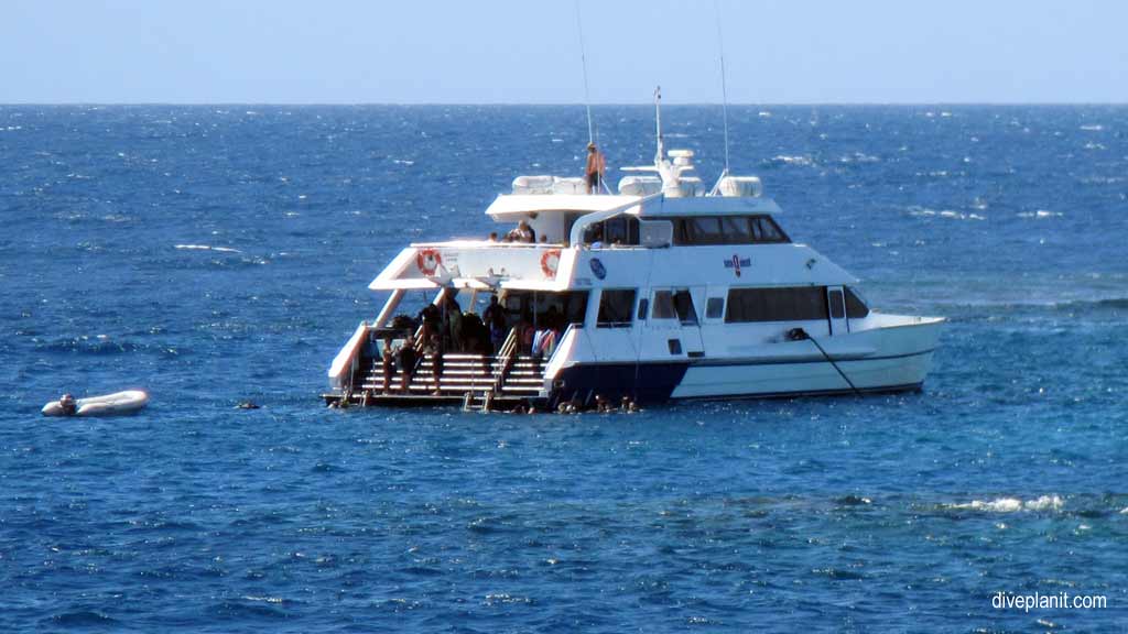 Great Barrier Reef diving aboard Ocean Quest. Scuba diving tips for the Great Barrier Reef - where, when, who and how