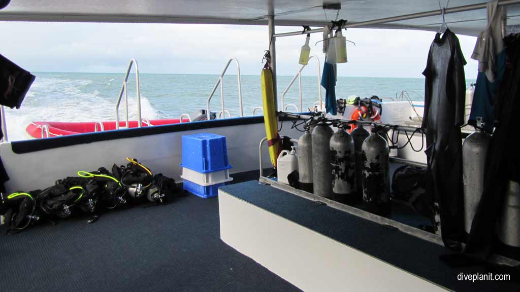 Great Barrier Reef diving aboard the Calypso. Dive holiday travel planning tips for Opal Reef - where, when, who and how