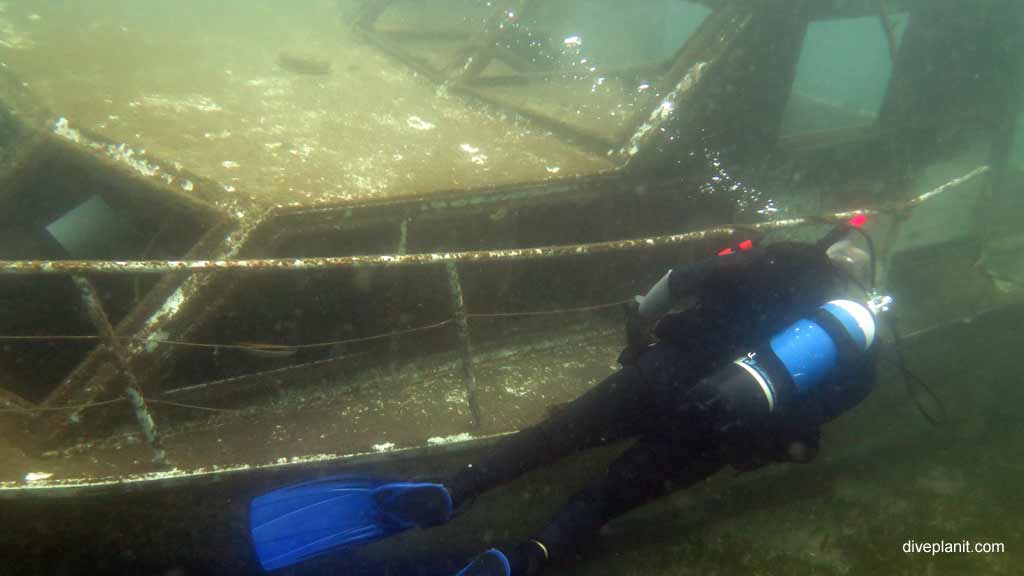 2258-Eastern-smooth-boxfish-inside-the-wreck-at-Cabbage-Tree-Island-diving-Nelson-Bay-DPI-2258