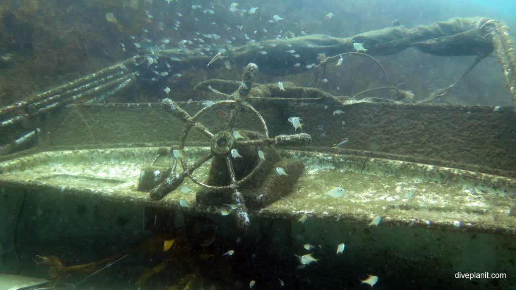 Best dive sites in Nelson Bay is Cabbage Tree Island. Scuba holiday travel planning for Nelson Bay - where, who and how