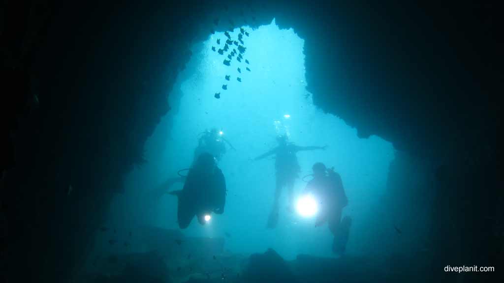 Best dive sites in South West Rocks. Scuba holiday travel planning for South West Rocks - where, who and how