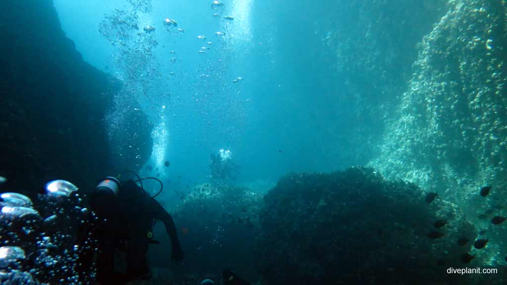 Best dive sites in Nelson Bay is Looking Glass. Scuba holiday travel planning for Nelson Bay - where, who and how