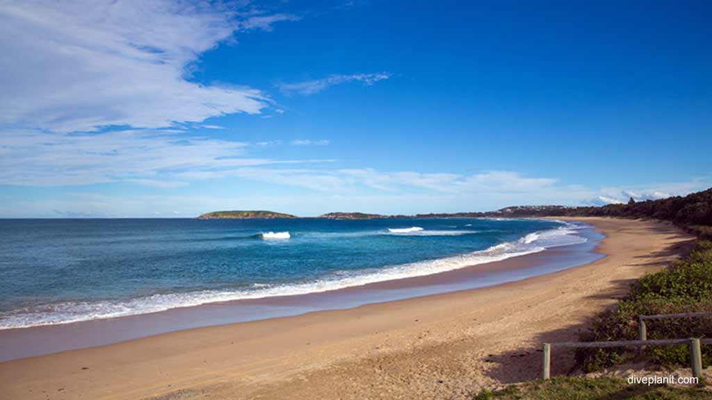 Best dive sites in Coffs Harbour. Scuba holiday travel planning for Coffs Harbour - where, who and how
