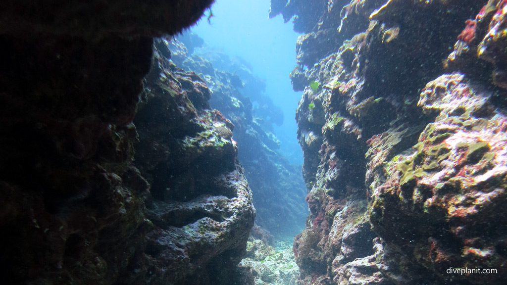 Cleft in the reef diving The Arch and other great terrain outside the lagoon at Lord Howe Island