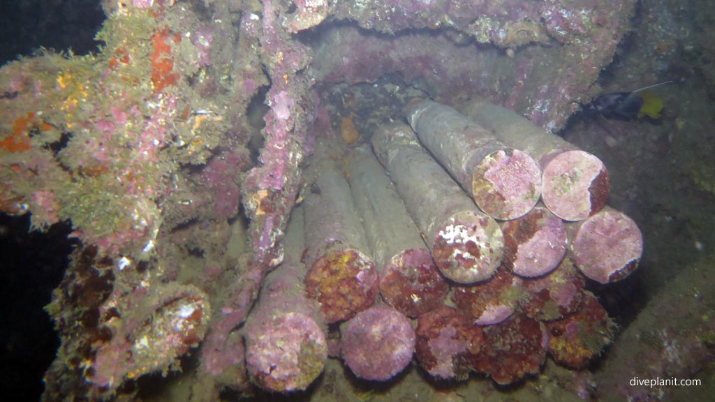 Shell cases diving SS President Coolidge wreck night dive at Espiritu Santo diving Vanuatu by Diveplanit